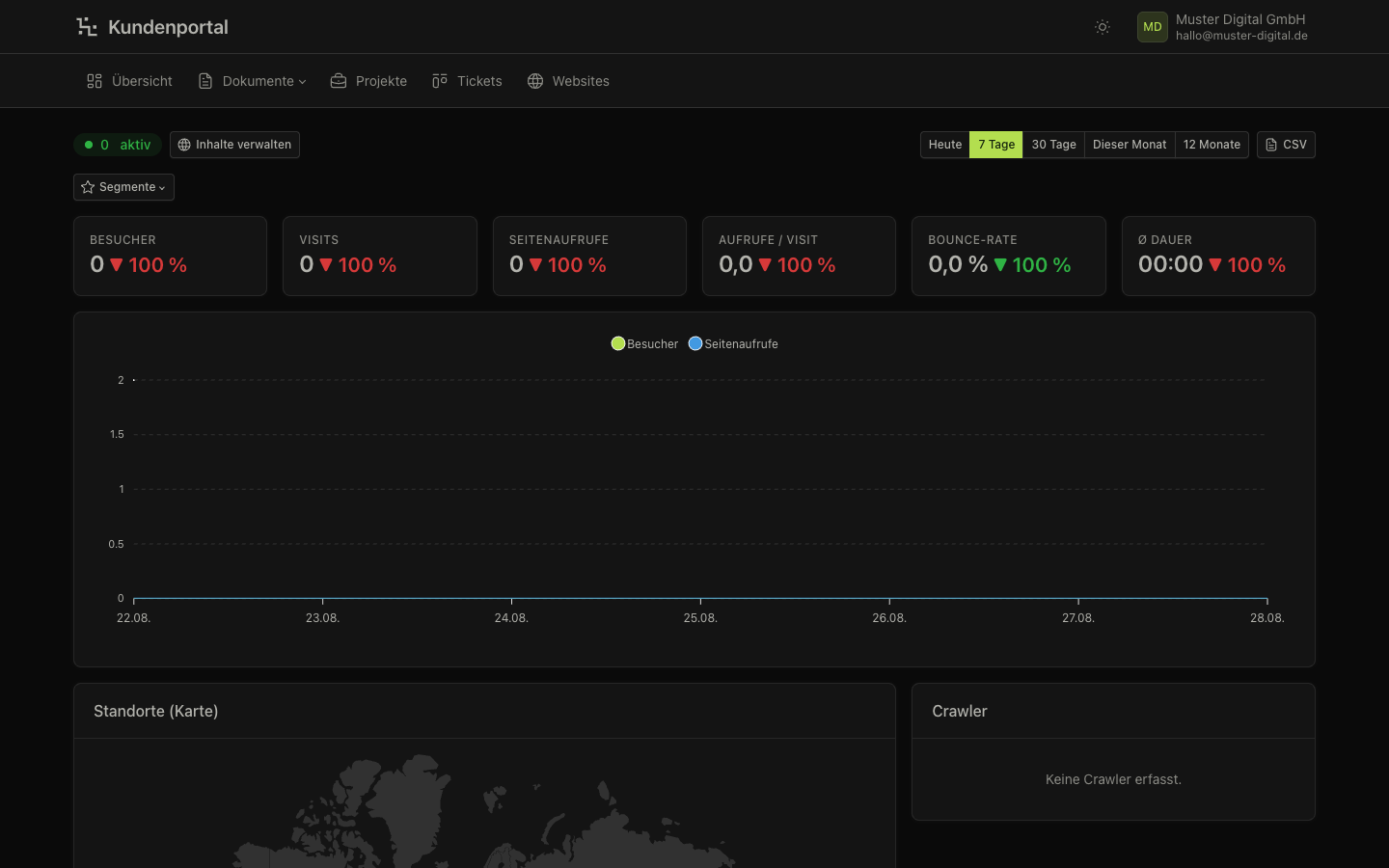 Website-Statistik