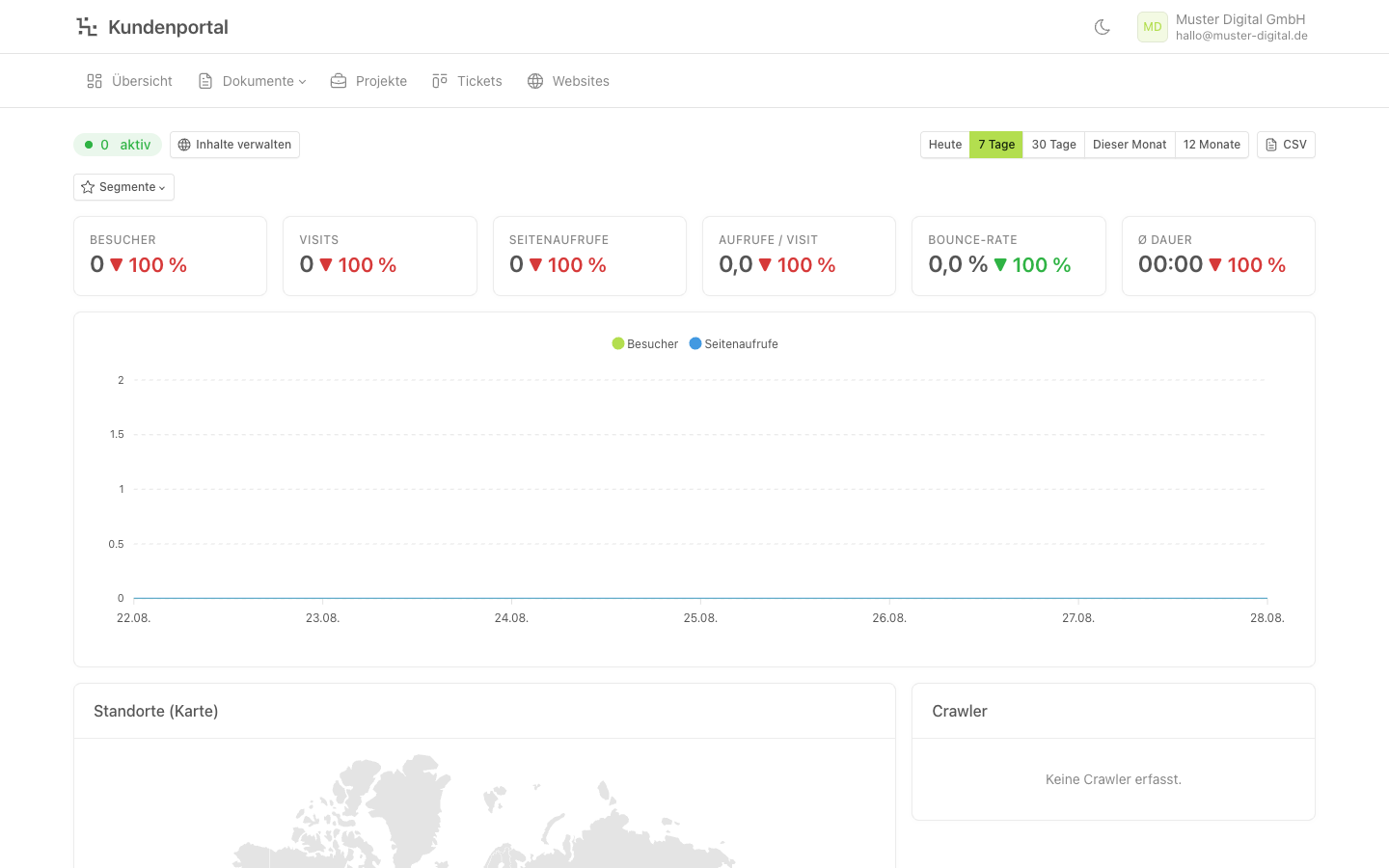 Website-Statistik